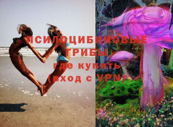 спиды Заволжск
