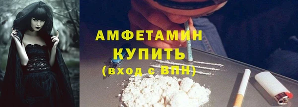 стаф Заводоуковск