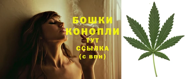 спиды Заволжск