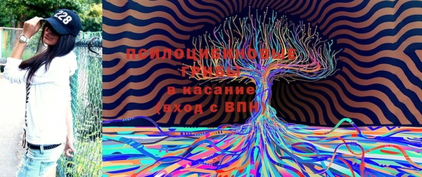 спиды Заволжск
