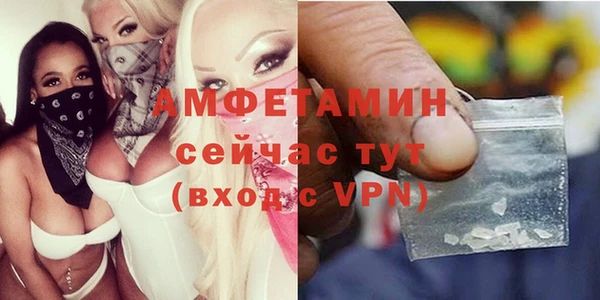 стаф Заводоуковск